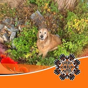 Meet your Posher, Penny